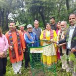 जन्मदिनमा केक होइन, बिरुवा ! राजधानीदेखि रौतहटसम्म धुमधाम वृक्षारोपण