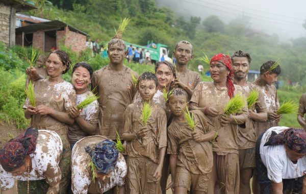 सिरानचोकमा २३औँ राष्ट्रिय धान दिवस तथा रोपाइँ महोत्सव सम्पन्न