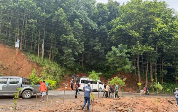 घरटहरा हटेपछि बाह्रकिलोमा वन क्षेत्र संरक्षण, ५० बिरुवा रोपियो