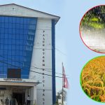 पाकेको धानबाली सुरक्षित राख्न पालुङटार नगरपालिकाको आग्रह